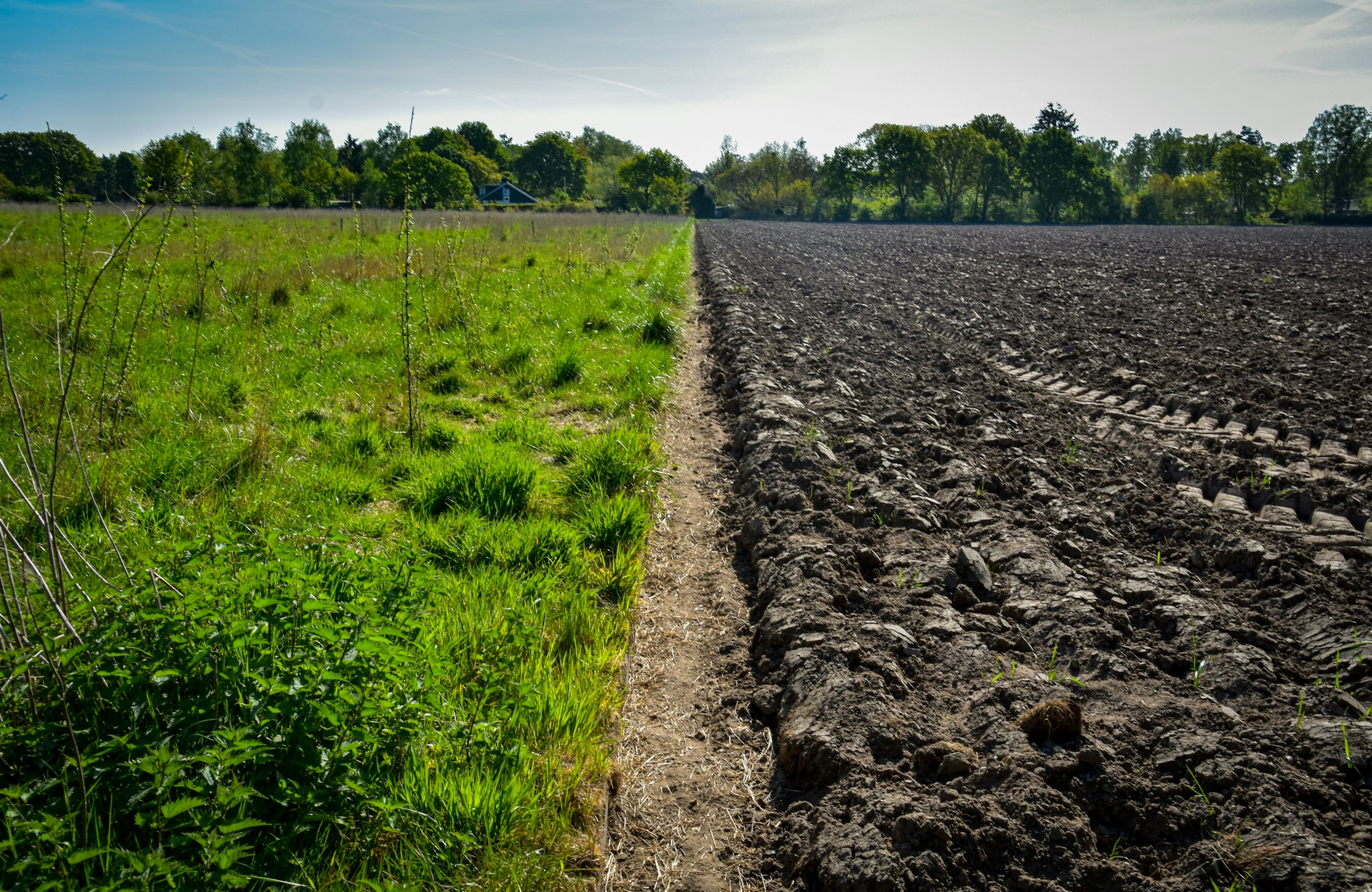Douar Park · « field »